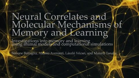 Neural Correlates and Molecular Mechanisms of Memory and Learning