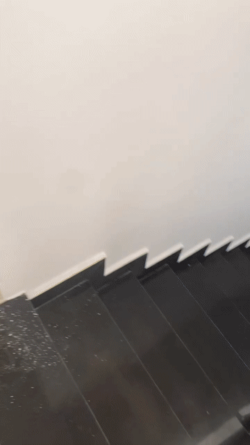 Cho thuê Phòng trọ Quận 8 Tp Hồ Chí Minh diện tích 60 m² giá 5,5 triệu/tháng