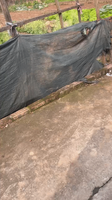 Mua bán Đất Huyện Đan Phượng Hà Nội diện tích 72.5 m² giá 2,4 tỷ