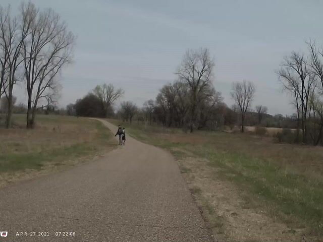 Off Leash Dog on Trail - UpRide.cc