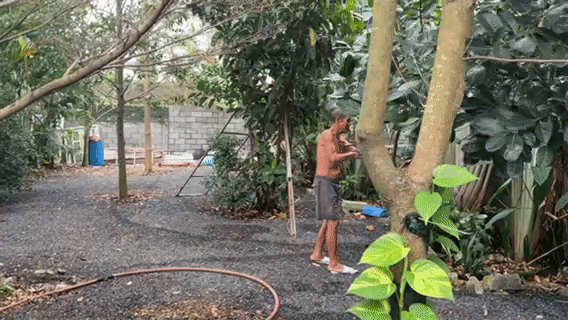 Mua bán Nhà ở Huyện Bến Cầu Tây Ninh diện tích 600 m² giá 1,49 tỷ