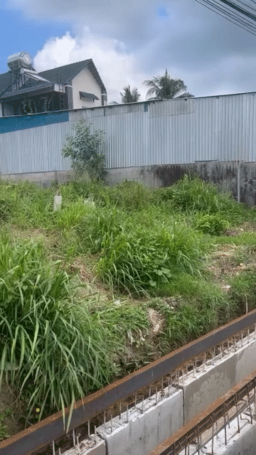 Mua bán Đất Thành phố Phú Quốc Kiên Giang diện tích 1278.0999 m² giá 18 tỷ