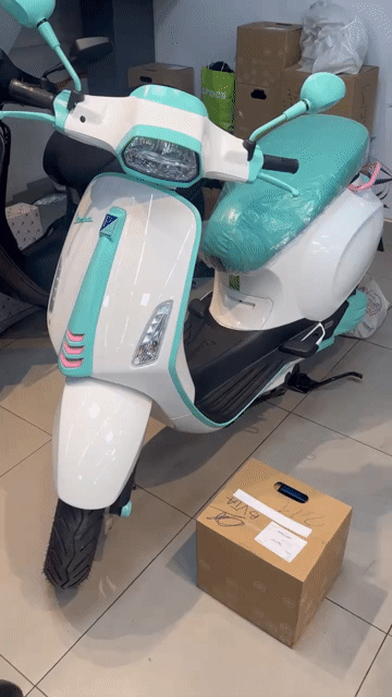 Piaggio Vespa 2024 Trắng, Xanh ngọc 2000km. Mua bán Xe máy tại Thành phố Thủ Đức Tp Hồ Chí Minh được đăng bởi Hoa Chanh Nguyễn hình 1