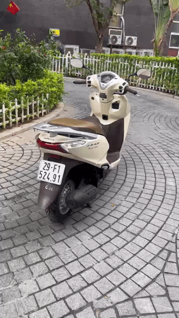 Honda Lead 125 Premium Vàng kem xe dán kín nilon. Mua bán Xe máy tại Quận Thanh Xuân Hà Nội được đăng bởi Thanh hình 1