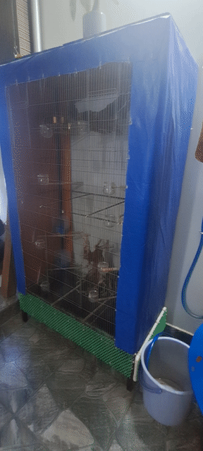 Lồng chim kim loại 1m5x1m50cm. Mua bán Phụ kiện, Thức ăn, Dịch vụ tại Quận 12 Tp Hồ Chí Minh được đăng bởi Phát Ke hình 1