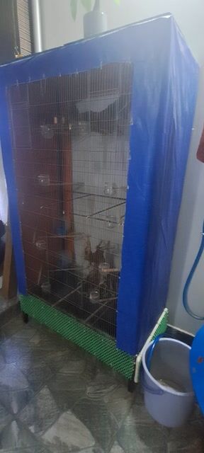 Lồng chim kim loại 1m5x1m50cm. Mua bán Phụ kiện, Thức ăn, Dịch vụ tại Quận 12 Tp Hồ Chí Minh được đăng bởi Phát Ke hình 1