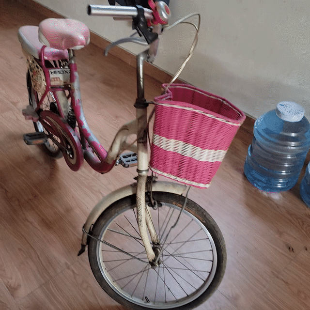 Xe đạp nữ màu Hồng. Mua bán Xe đạp tại Huyện Củ Chi Tp Hồ Chí Minh được đăng bởi  Tuấn hình 1