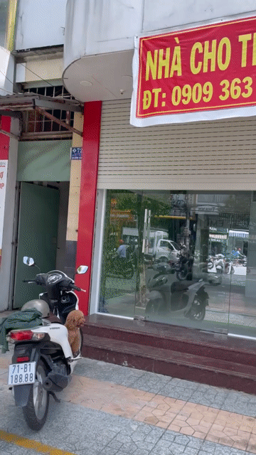 Cho thuê Văn phòng, Mặt bằng kinh doanh Thành phố Bến Tre Bến Tre diện tích 20 m² giá 15 triệu/tháng
