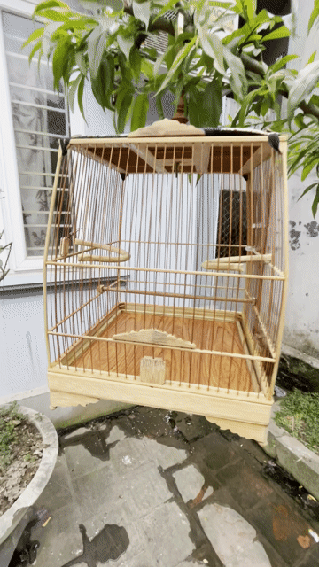 Lồng chim gỗ đã qua sử dụng. Mua bán Phụ kiện, Thức ăn, Dịch vụ tại Huyện Lục Nam Bắc Giang được đăng bởi Anh Vu viet hình 1