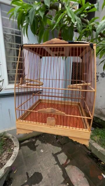 Lồng chim gỗ đã qua sử dụng. Mua bán Phụ kiện, Thức ăn, Dịch vụ tại Huyện Lục Nam Bắc Giang được đăng bởi Anh Vu viet hình 1