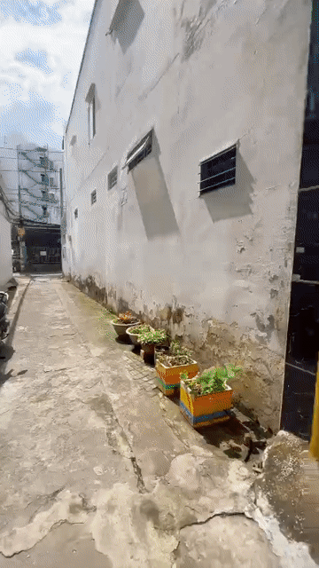 Cho thuê Nhà ở Quận Gò Vấp Tp Hồ Chí Minh diện tích 52.5 m² giá 9,5 triệu/tháng