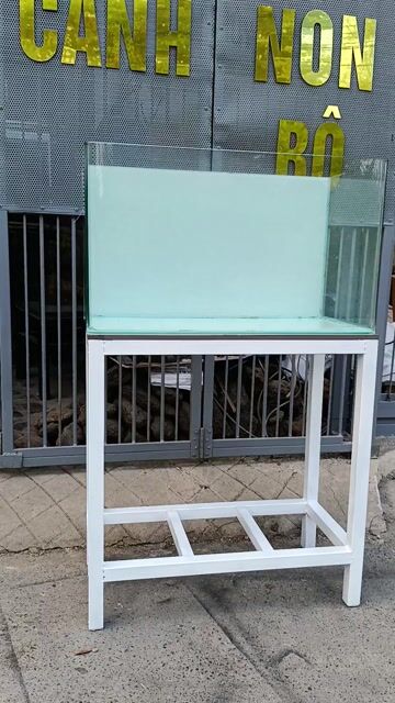 Bể cá kính đúc 60. Mua bán Phụ kiện, Thức ăn, Dịch vụ tại Thị xã Phú Mỹ Bà Rịa - Vũng Tàu được đăng bởi Pets  hình 1
