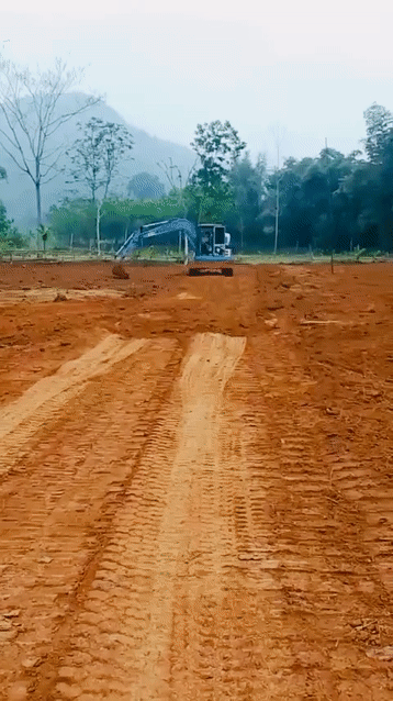 Mua bán Đất Huyện Ngọc Lặc Thanh Hóa diện tích 100 m² giá 175 triệu