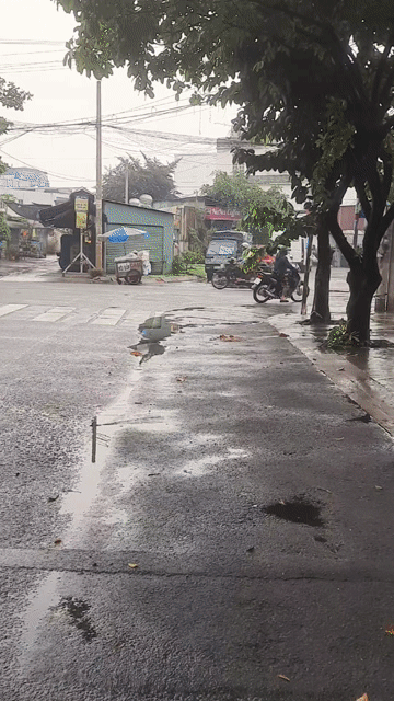 Mua bán Nhà ở Quận Bình Tân Tp Hồ Chí Minh diện tích 50 m² giá 5,3 tỷ
