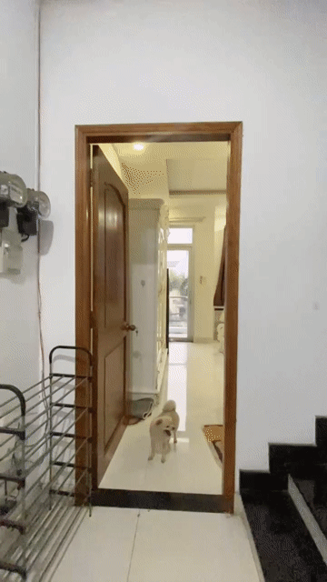Cho thuê Phòng trọ Thành phố Thủ Đức Tp Hồ Chí Minh diện tích 25 m² giá 4 triệu/tháng