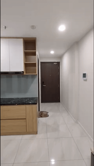 Mua bán Căn hộ Chung cư PiCity High Park Quận 12 Tp Hồ Chí Minh diện tích 50 m² giá 2,55 tỷ