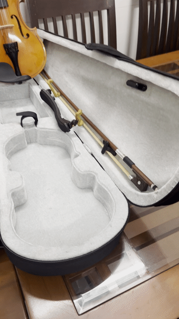 Đàn Violin Gỗ Màu Nâu Vàng Cho Người Mới Bắt Đầu. Mua bán Nhạc cụ tại Quận Bình Tân Tp Hồ Chí Minh được đăng bởi kẻ huỷ diệt hình 1