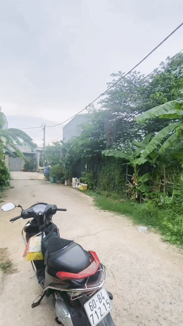 Mua bán Đất Quận 12 Tp Hồ Chí Minh diện tích 56 m² giá 2,8 tỷ