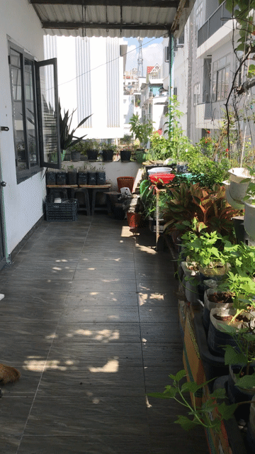Cho thuê Phòng trọ Quận Phú Nhuận Tp Hồ Chí Minh diện tích 40 m² giá 6 triệu/tháng