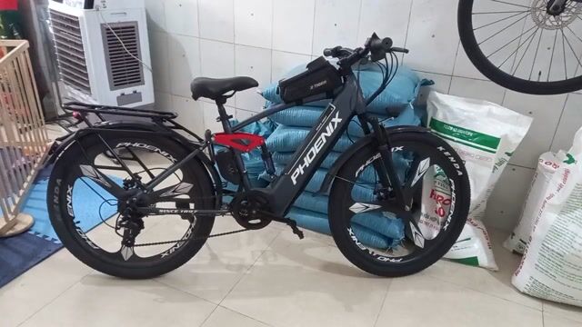 Xe đạp trợ lực điện Phoenix màu xám than. Mua bán Xe điện tại Thị xã Bến Cát Bình Dương được đăng bởi binh nguyen quang hình 1
