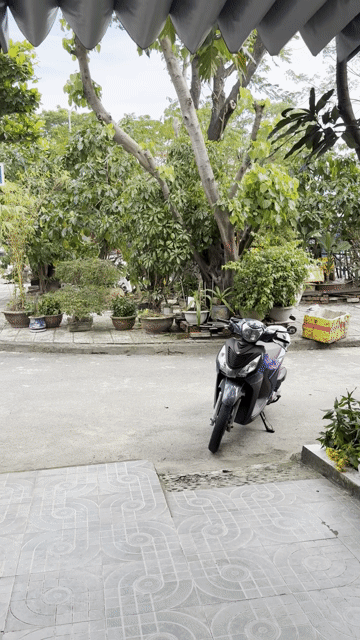 Mua bán Nhà ở Quận Sơn Trà Đà Nẵng diện tích 61.5 m² giá 5,6 tỷ