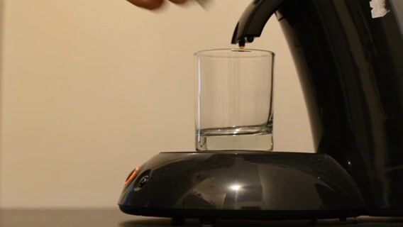 La licence en un mot