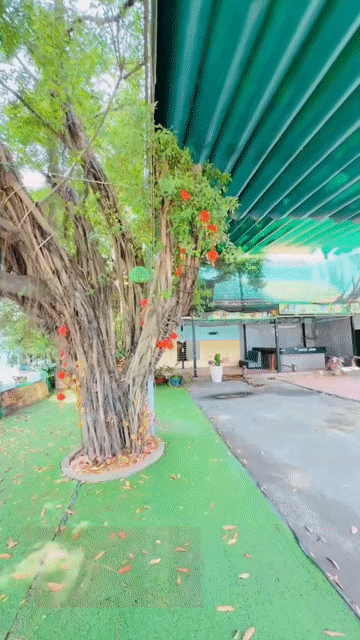 Cho thuê Văn phòng, Mặt bằng kinh doanh Thành phố Biên Hòa Đồng Nai diện tích 320 m² giá 18 triệu/tháng