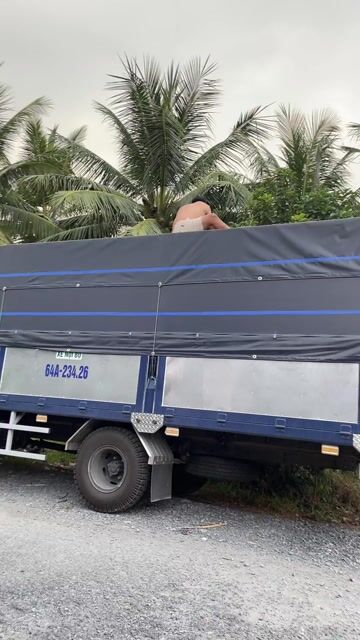 Hyundai Santa Fe 2019 2.2D Premium - 11500 km. Mua bán Ô tô tại Thị xã Bình Minh Vĩnh Long được đăng bởi Le Thi Cuc hình 1