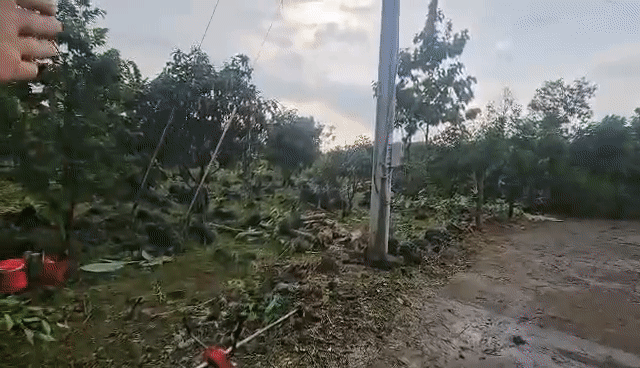 Mua bán Đất Huyện Định Quán Đồng Nai diện tích 1000 m² giá 700 triệu