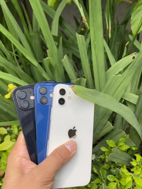 iPhone 12 64GB Đen Đã sử dụng. Mua bán Điện thoại tại Quận Cầu Giấy Hà Nội được đăng bởi SUN Mobile hình 1