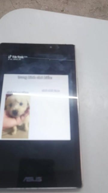 Máy tính bảng ASUS ZenPad Đen. Mua bán Máy tính bảng tại Quận 7 Tp Hồ Chí Minh được đăng bởi Huy Hoang Nguyen hình 1