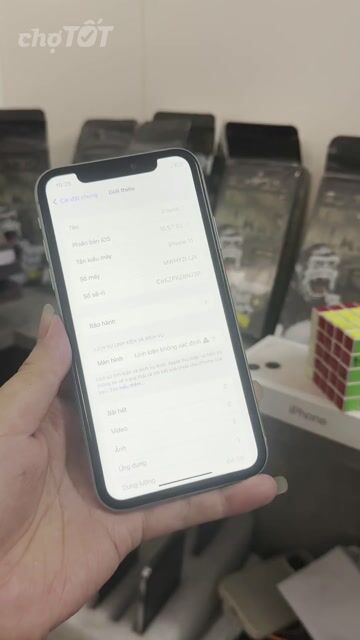 Apple iPhone 11 64GB Xanh lá Like New. Mua bán Điện thoại tại Huyện Bình Chánh Tp Hồ Chí Minh được đăng bởi duy hình 1