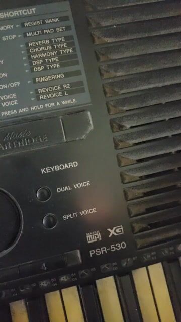 Đàn organ Yamaha PSR-530 Đen. Mua bán Nhạc cụ tại Quận Hai Bà Trưng Hà Nội được đăng bởi Tiến Minh hình 1