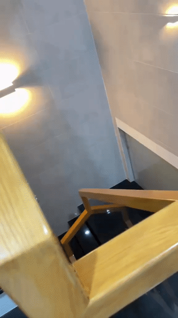 Mèo Anh lông ngắn trắng cam 2 tháng. Mua bán Mèo tại Quận Gò Vấp Tp Hồ Chí Minh được đăng bởi Nhật Tiến hình 1