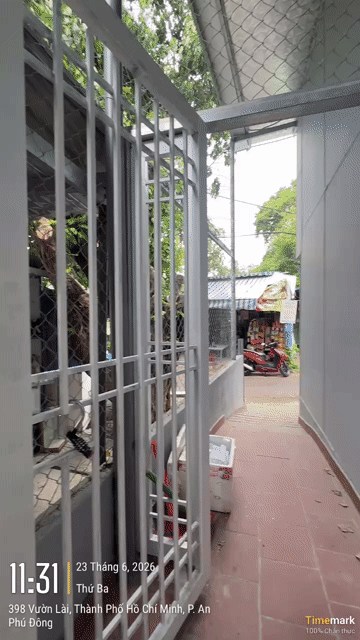 Cho thuê Phòng trọ Quận Gò Vấp Tp Hồ Chí Minh diện tích 28 m² giá 3,6 triệu/tháng