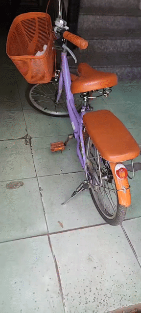 Xe đạp trẻ em Tím Như mới. Mua bán Xe đạp tại Quận Bình Tân Tp Hồ Chí Minh được đăng bởi Sau Tran hình 1