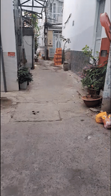 Cho thuê Nhà ở Quận Gò Vấp Tp Hồ Chí Minh diện tích 32 m² giá 8 triệu/tháng