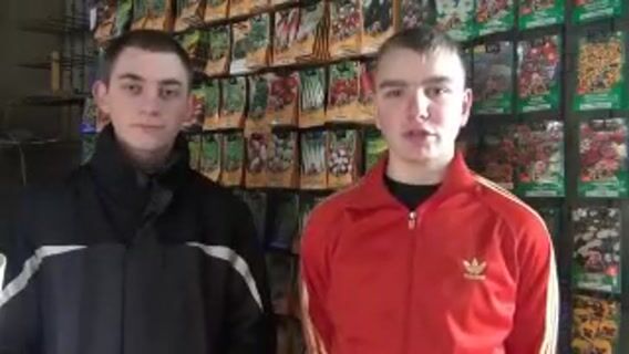 La tête dans les arbres