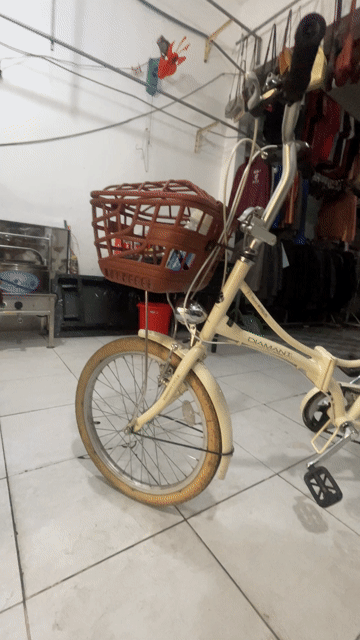 Xe đạp gấp Diamant khung Thép. Mua bán Xe đạp tại Quận Bình Thạnh Tp Hồ Chí Minh được đăng bởi Y Sa ly hình 1