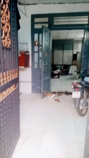 Cho thuê Nhà ở Quận 12 Tp Hồ Chí Minh diện tích 72 m² giá 6 triệu/tháng