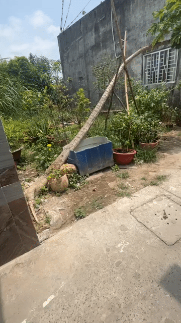 Mua bán Đất Thành phố Vĩnh Long Vĩnh Long diện tích 91 m² giá 380 triệu
