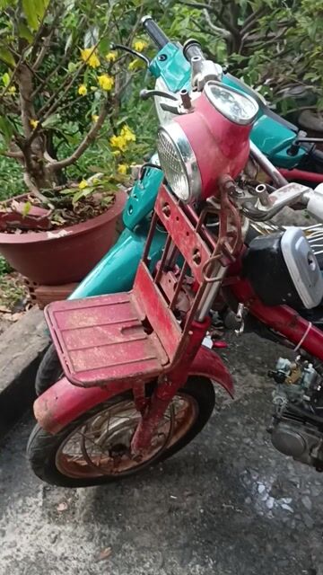 Honda MD 70 màu Đỏ. Mua bán Xe máy tại Quận Tân Phú Tp Hồ Chí Minh được đăng bởi Anh Vĩ hình 1