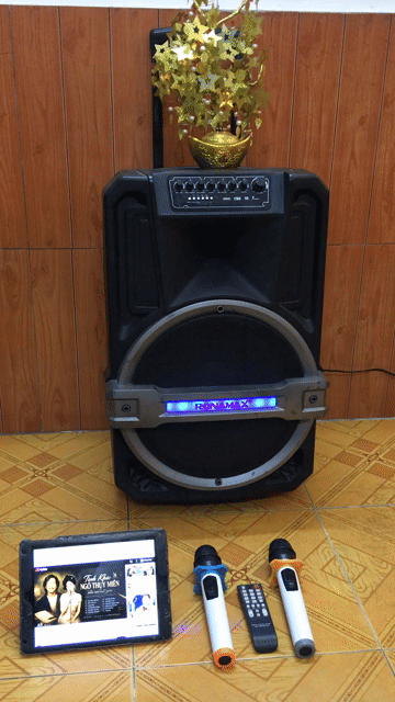 Loa kéo RONAMAX bas 40cm + 2 Mic 600w. Mua bán Tivi, Âm thanh tại Quận Tân Bình Tp Hồ Chí Minh được đăng bởi AHuy hình 1