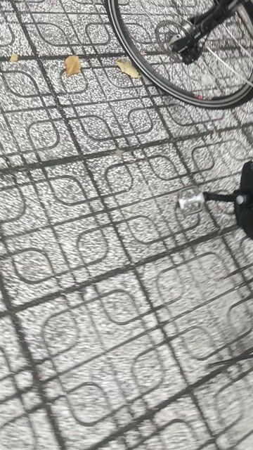 Xe đạp trợ lực Yamaha  đùm 8 số. Mua bán Xe đạp tại Quận Tân Bình Tp Hồ Chí Minh được đăng bởi bảo Ý hình 1