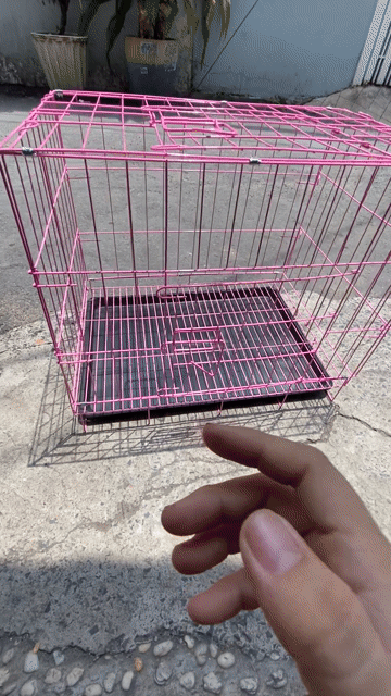 Chuồng thú cưng Sơn tĩnh điện Hồng 60cm. Mua bán Phụ kiện, Thức ăn, Dịch vụ tại Quận Gò Vấp Tp Hồ Chí Minh được đăng bởi sushi hình 1