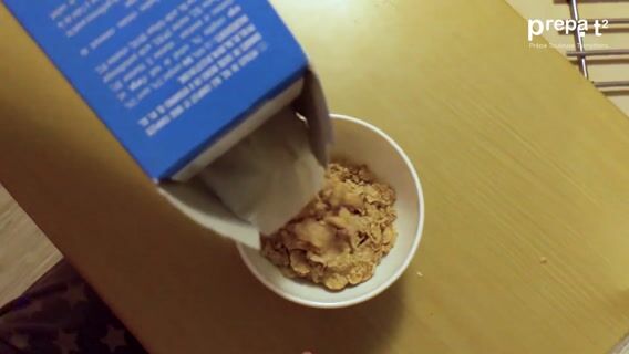 Une journée à la Prépa Toulouse Transitions (Prépa t²)