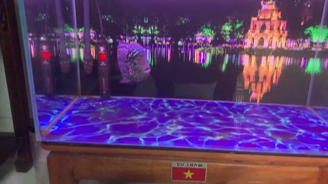 Bể cá cảnh Kính 8ly siêu trong. Mua bán Phụ kiện, Thức ăn, Dịch vụ tại Quận Bắc Từ Liêm Hà Nội được đăng bởi Đào Trọng Đan hình 1