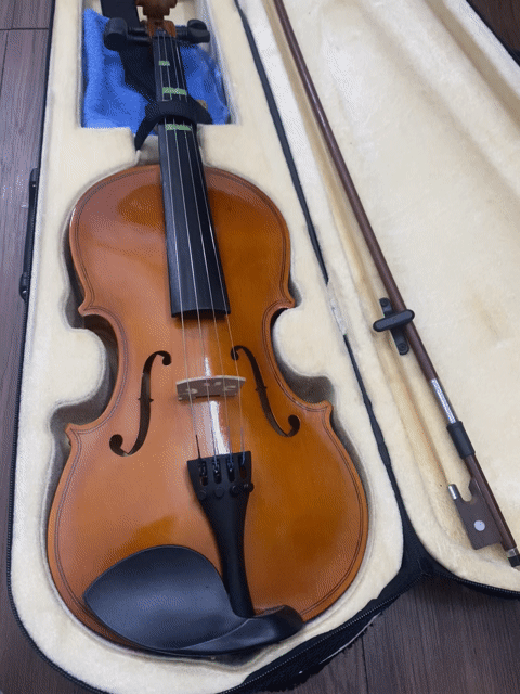 Đàn Violin Gỗ Nâu. Mua bán Nhạc cụ tại Quận 7 Tp Hồ Chí Minh được đăng bởi Trần Tâm hình 1