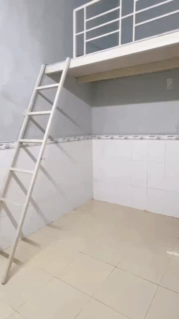 Cho thuê Phòng trọ Quận 8 Tp Hồ Chí Minh diện tích 10 m² giá 1,6 triệu/tháng