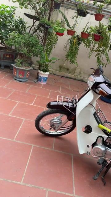 Honda Dream đỏ tím đời 2000. Mua bán Xe máy tại Huyện Đông Anh Hà Nội được đăng bởi nguyễn van sơn hình 1